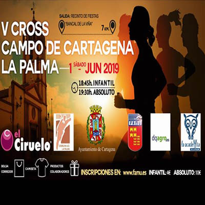 Cartel carrera