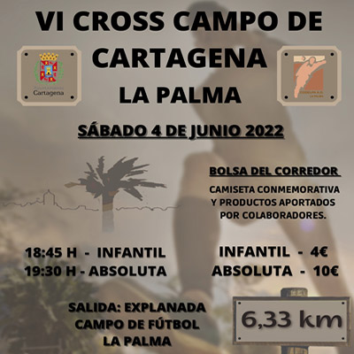 Cartel carrera